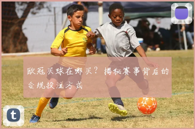 欧冠买球在哪买？揭秘赛事背后的合规投注方式